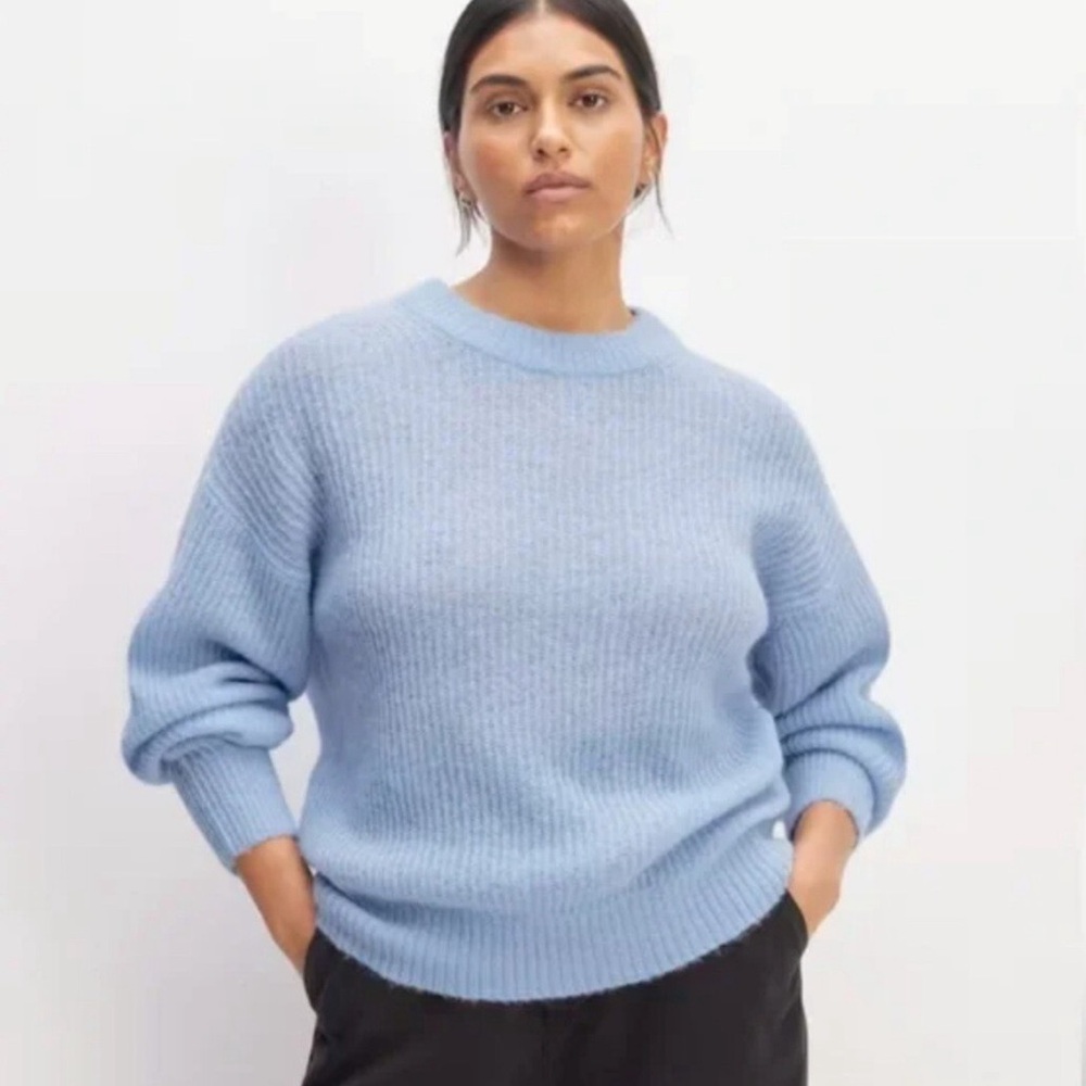 Everlane Alpaca Cocoon Crew Sweater in Mist